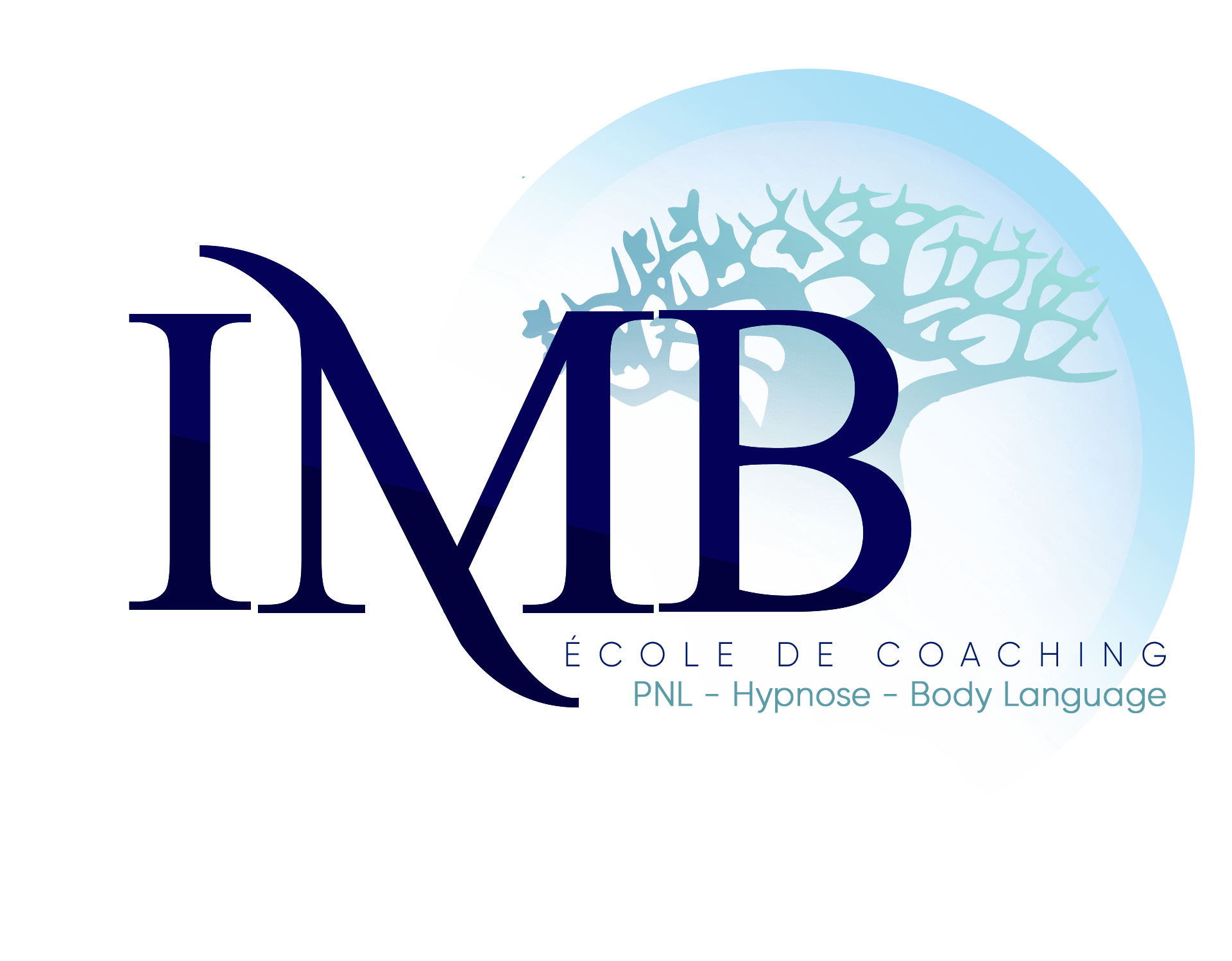 Institut Merry Ba